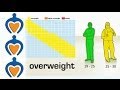 Newyear Lose Weight In 2014 What Is Overweight And How To Get Healthy