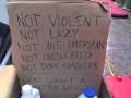 OWS-Not Violent, Not Lazy...