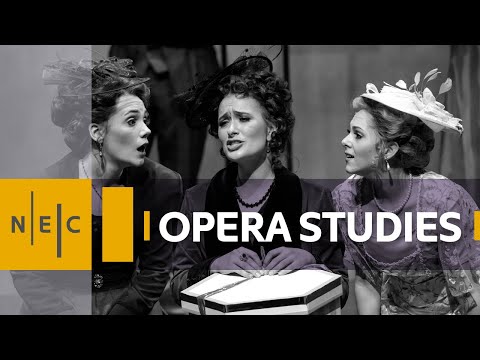 Opera Studies at NEC