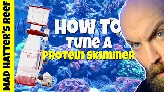 How to Tune a Protein Skimmer