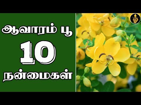 Erbzenerg Avarampoo And Jamun Diabetes Powder, RKS HEALTH CARE, 200gms