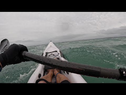 Downwind surfski race 2023 Vaikobi Auckland King & Queen of the harbour