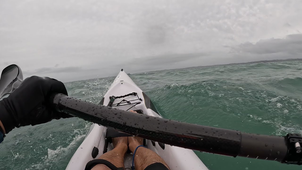 Downwind surfski race 2023 Vaikobi Auckland King & Queen of the harbour