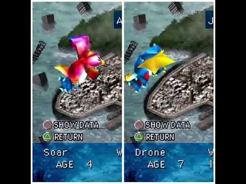 DRAGON SEEDS: Winged Evolution and Comparison🦉🦃🧚‍♀️✈️