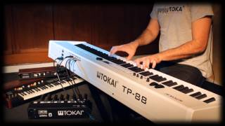 Nothing Else Matters - Piano - Tokai TP88 - Michel Barbaro