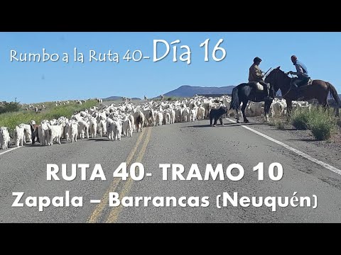 RUTA 40- TRAMO 10- Zapala - Barrancas (-Neuquén- )