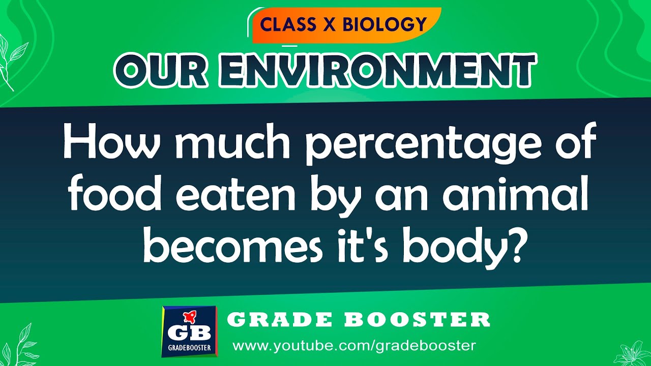 Our Environment | CBSE Class 10 Science (Biology) in hindi | Food chains & Food Web  | NCERT #shorts