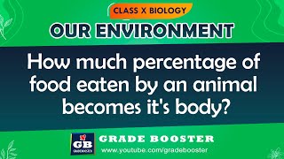 Our Environment | CBSE Class 10 Science (Biology) in hindi | Food chains & Food Web | NCERT #shorts