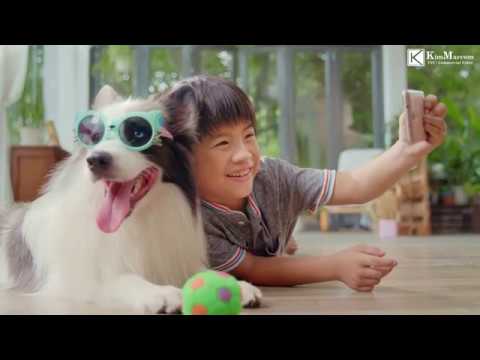 TVC Quảng cáo Ganador thức ăn thú cưng Làm phim quảng cáo Clip hài hước với chú chó Border Collie