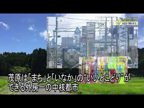 シティプロモーション | 千葉県茂原市の公式サイトへようこそ！