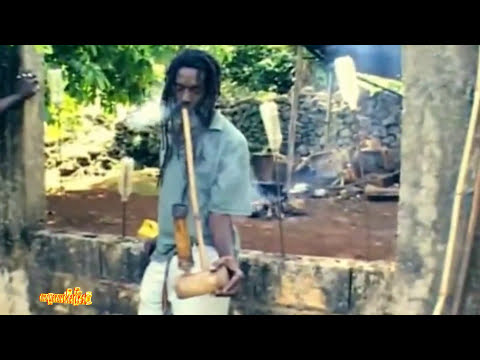 Official Music - Stephen “Ragga” Marley ft Spragga Benz & Damian Marley "Bongo Nyah"