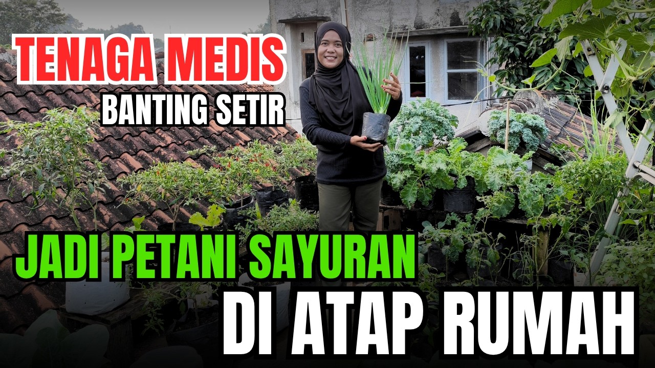 NEKAT RESIGN DARI RUMAH SAKIT DEMI MENANAM SAYURAN DI ATAP RUMAH