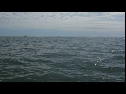 6 16 18 DOLPHIN ADVENTURE SAT 9 AM   34