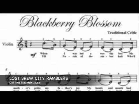 Lost Brew City Ramblers: Old Time Mountain Music