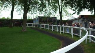 preview picture of video 'Pre-parade ring before the 2012 Dante won by Bonfire'