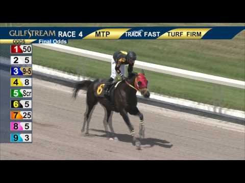 Gulfstream Park Race 4 | July 31, 2016