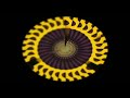 Fan Spiral Sports Theme Piano
