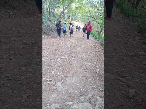 Recorrido al mirador San Rafael Cinco Pino