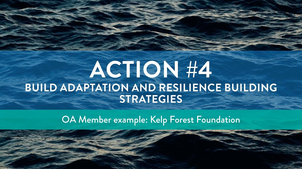 OA Action Plan - Action 4 Kelp Forest Foundation