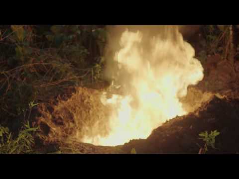 afbeelding Oscuro Animal