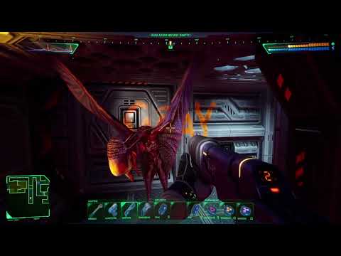 System Shock Remake 2023 08 25