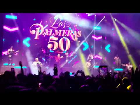 La Mosca & Los Palmeras Chola