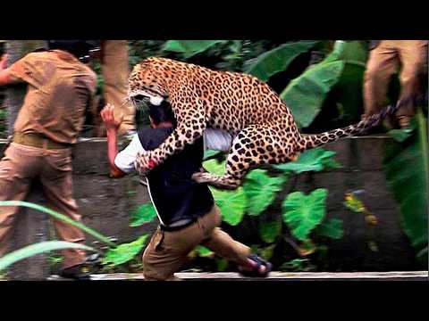 Damn Nature You Scary | Rare & Scary Animal Encounters 😱 #16