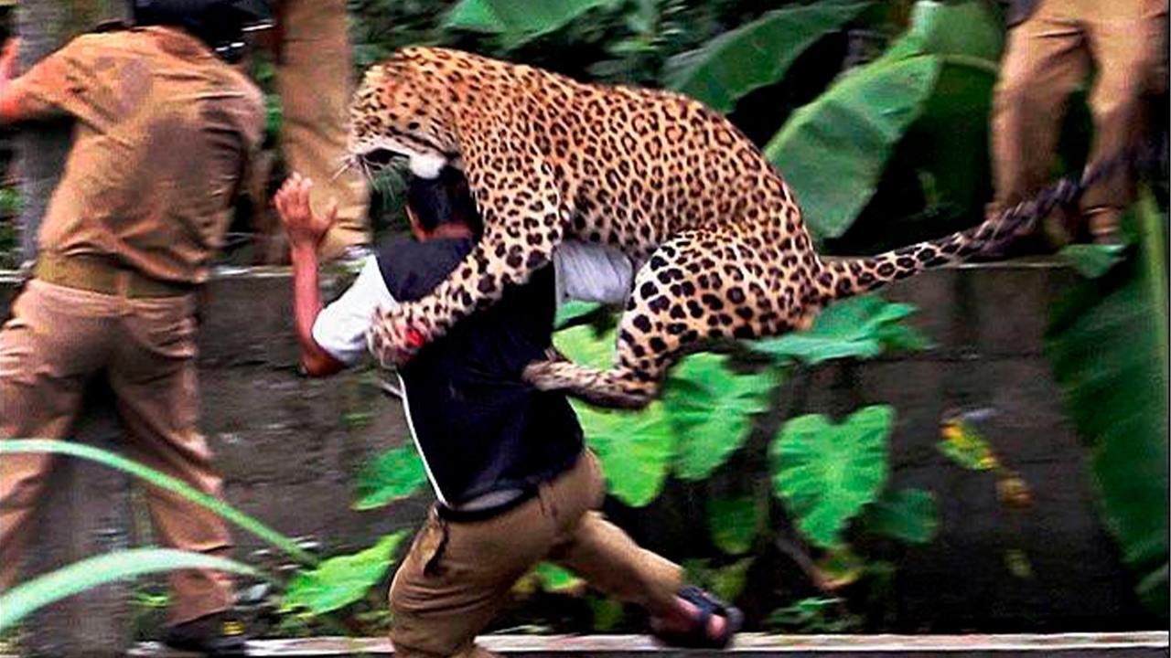 Damn Nature You Scary | Rare & Scary Animal Encounters 😱 #16