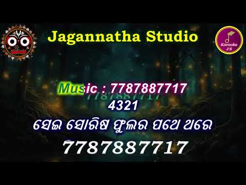 Sei Sorisa Phulara Pathe Karaoke with Lyrics