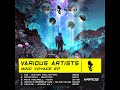D10 Waiting For WYWF Hyper Reality Records HRR105