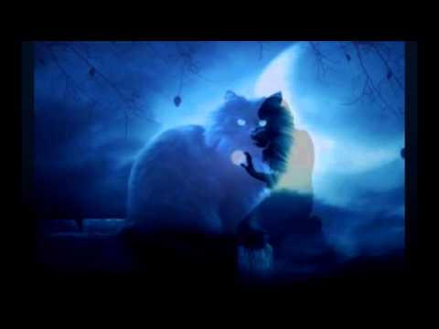 The moon is a harsh mistress teaser - Simona Barbieri Mckenzie