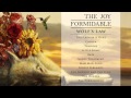 The Joy Formidable - Little Blimp [Official Audio ...