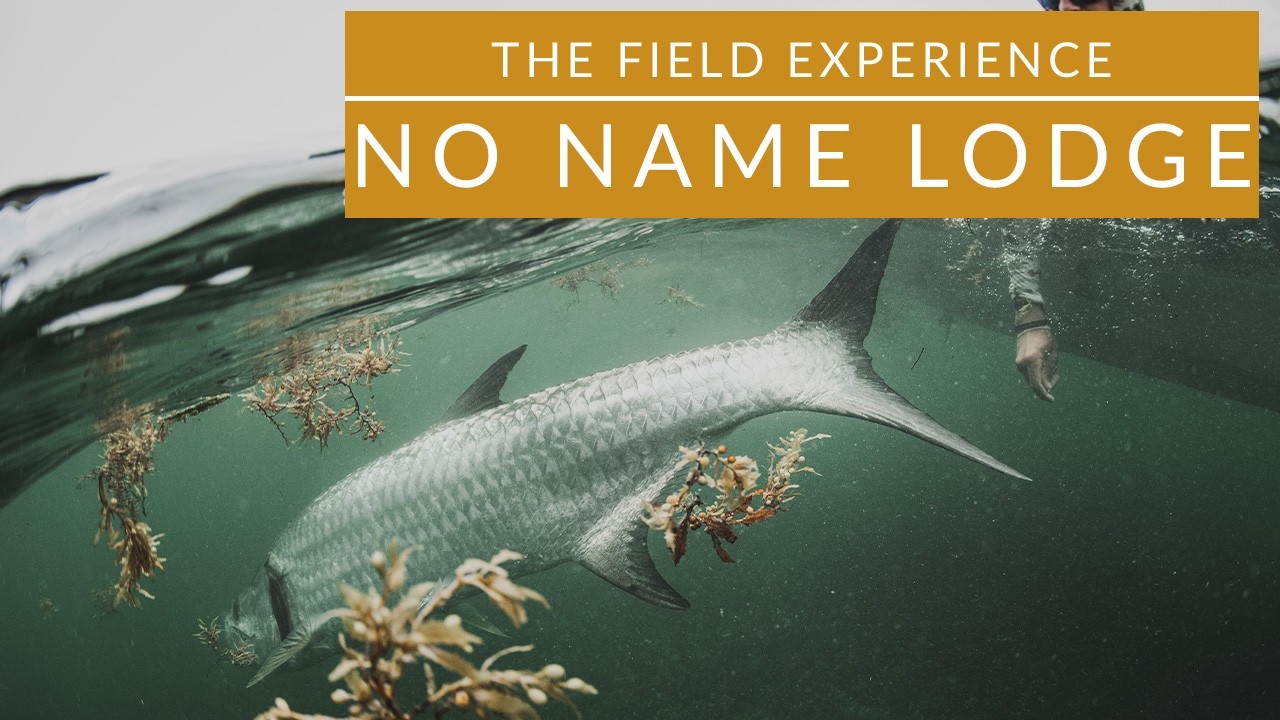 Passport-Free Tarpon & Wading for Permit: Cooper Beckett on Frontiers Travel's The Field Experience