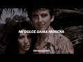 Dark Sweet Lady - George Harrison | subtitulado al español