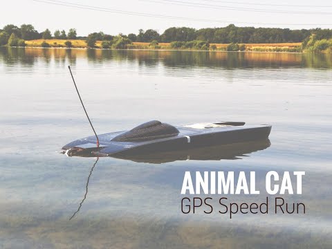 Oxidean Marine Animal Cat - Speed Run 157kph/98mph