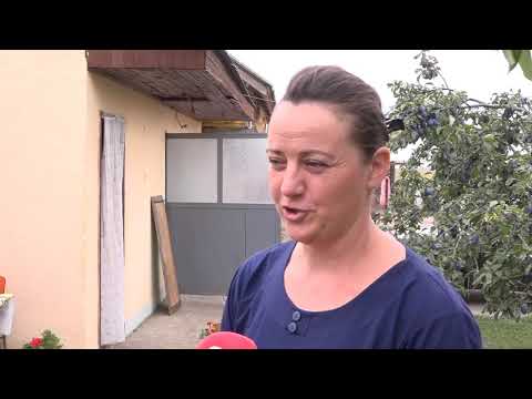PORODICA PETROVIC RADEVO   08  09  2019  JELENA MIRKOVIC