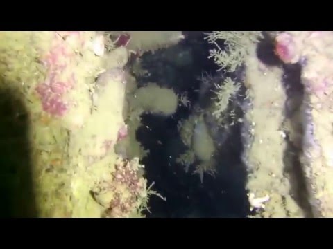 Bayern Turrets, Scapa Flow, October 2013