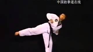 Taekwondo Vol. 3 (Inside Crescent Kick)