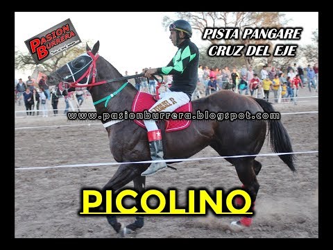 PICOLINO, Pista Pangare - Cruz del Eje (06-10-19)