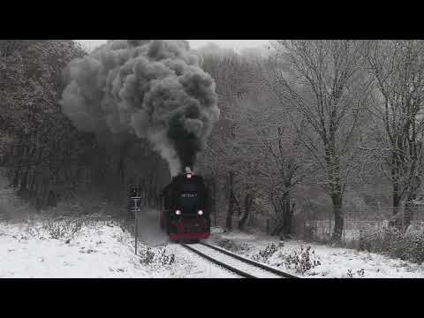 Adventskalender Türchen 24/24 - Winterdampf im Harz Die Bergkönigin & Harzbullen im Schnee