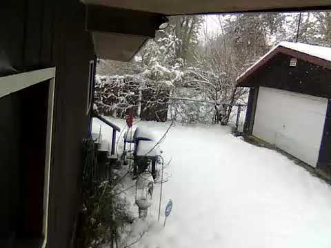 Snow storm in Michigan | 11-11-19