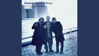Music video thumbnail preview for Shuck It Up by Medeski, Martin & Wood