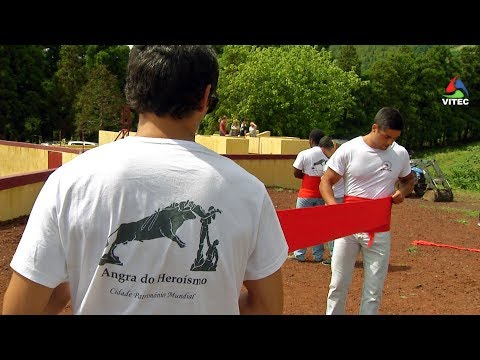 Festa Campera reúne gerações de forcados - Terceira Dimensão 1246