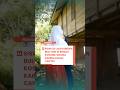 SISWI SD JADI KORBAN BULLYING DI RUMAH KOSONG DIDUGA KARENA KALAH CANTIK
