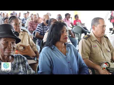 Description or Alt Text