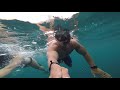 Snorkeling In Hawaii