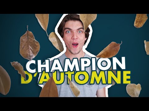 THE FALL CHAMPIONS [REMONTADA #2]