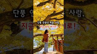 경기도 숨은 단풍 명소!
