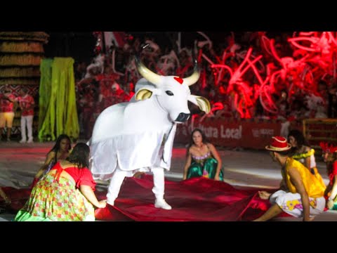Melhores momentos 26º Festival Folclórico Urucurituba- Boi Bumbá Mina de Ouro