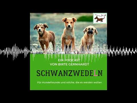 72 Bunter Hund Leipzig e.V. - Schwanzwedeln